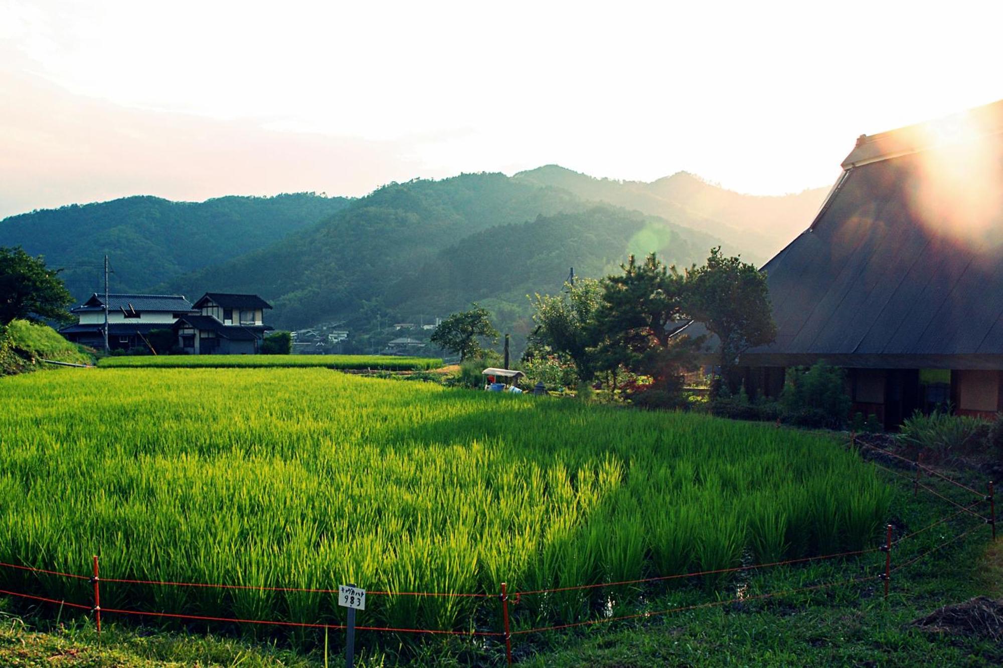 古民家の宿 ふるま家 Furumaya House Gastronomic Farmstay In Deep Kyoto Fukucsijama Kültér fotó